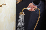 Robusta Douche Set Murale – Mitigeur en Laiton avec Douchette et Bec Longue | Style Rétro Élégant