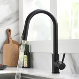 Robinet de cuisine extensible argenté avec mitigeur eau chaude et froide
