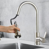AquaJet Duo – Douchette de Cuisine Multifonction à Double Jet Économiseur d’Eau