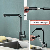AquaFlow Noir Mitigeur de Cuisine Extractible – Rotation 360° – 2 Modes de Jet – Acier Inoxydable Noir Mat