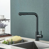 AquaFlow Noir Mitigeur de Cuisine Extractible – Rotation 360° – 2 Modes de Jet – Acier Inoxydable Noir Mat