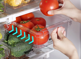 CoolStore – Boîte de Rangement Transparente pour Réfrigérateur